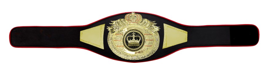 *NEW* PROICON CHAMPIONSHIP BELT/G/BLKGEM - AVAILABLE IN 6+ COLOURS
